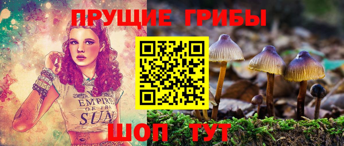 Псилоцибиновые грибы ЛСД Балашиха
