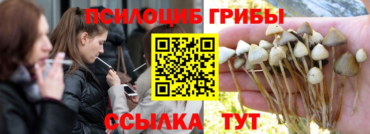 Галлюциногенные грибы GOLDEN TEACHER  Псилоцибиновые грибы Psilocybe  Балашиха  Вход с VPN 