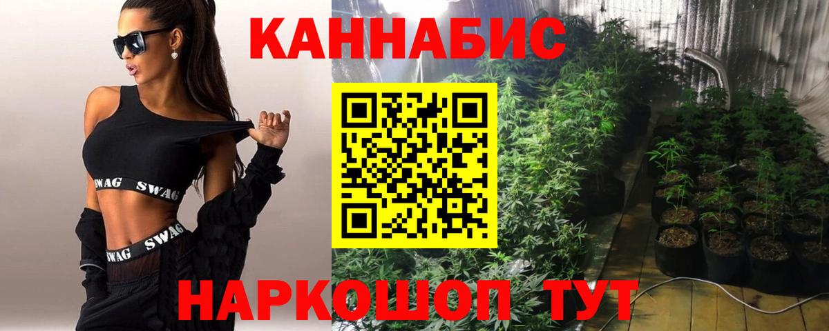 Бошки Шишки ГИДРОПОН Балашиха